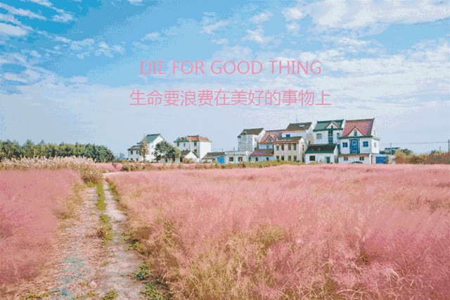 我在社交软件上睡了100个姑娘！