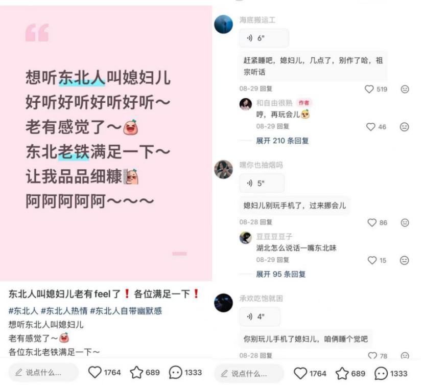 小红书评论区语音功能_互联网电子K歌房体验_英文版社交软件