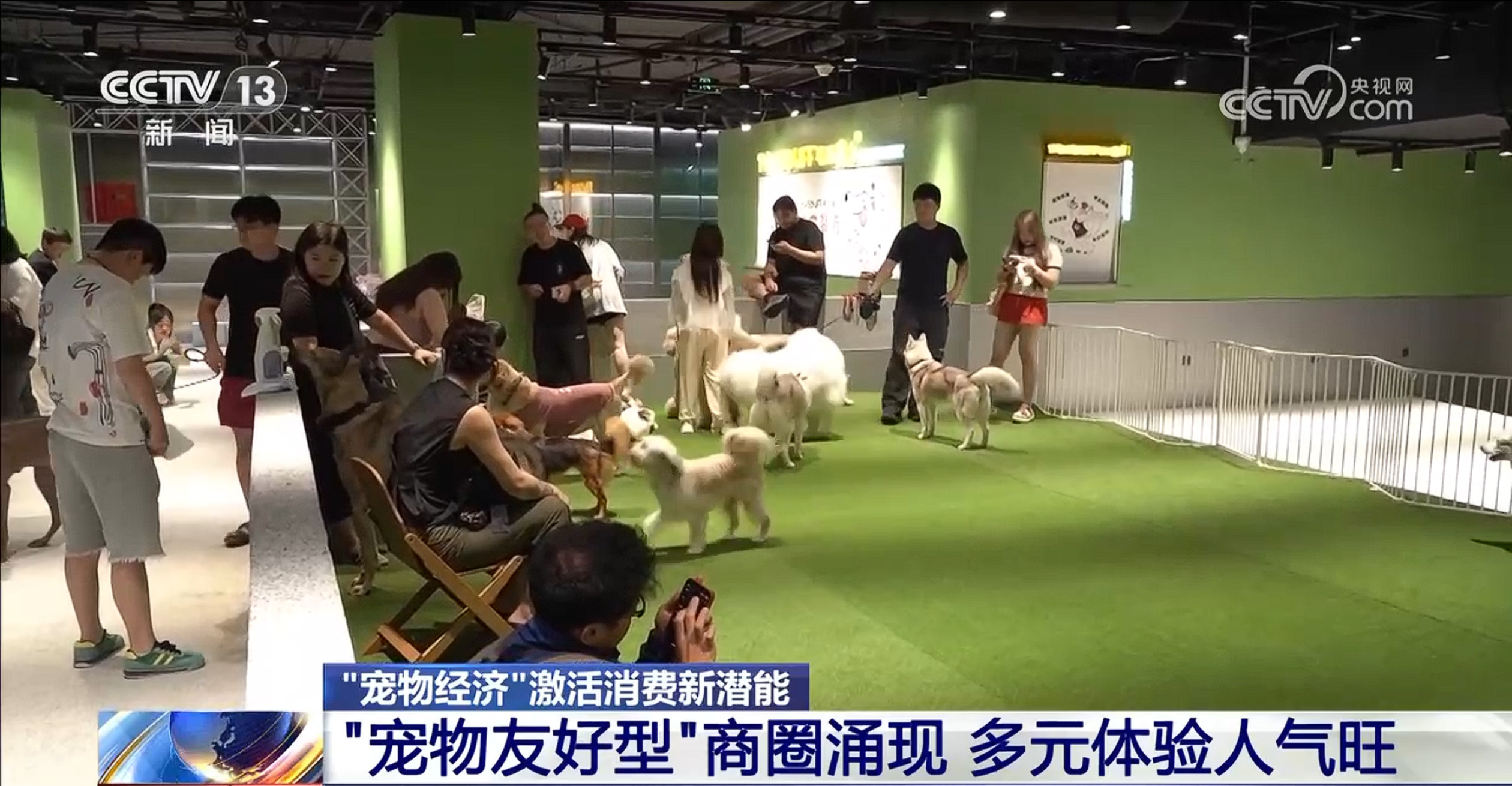暑期携宠出行_宠物社交平台_宠物专属特色游项目