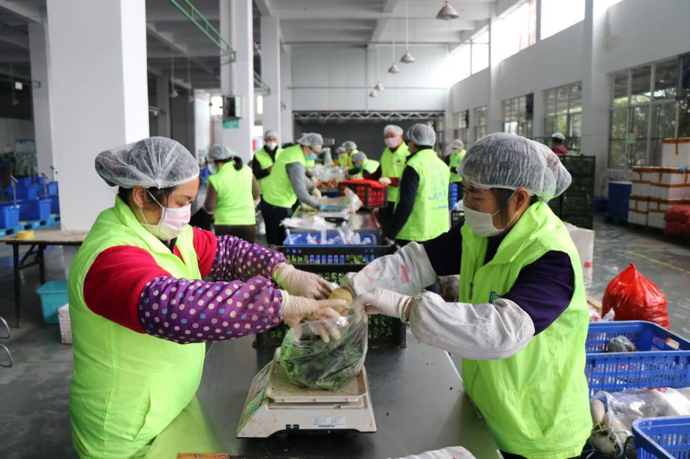 腾讯社交平台_上游新闻 腾讯小鹅拼拼 上游合作社