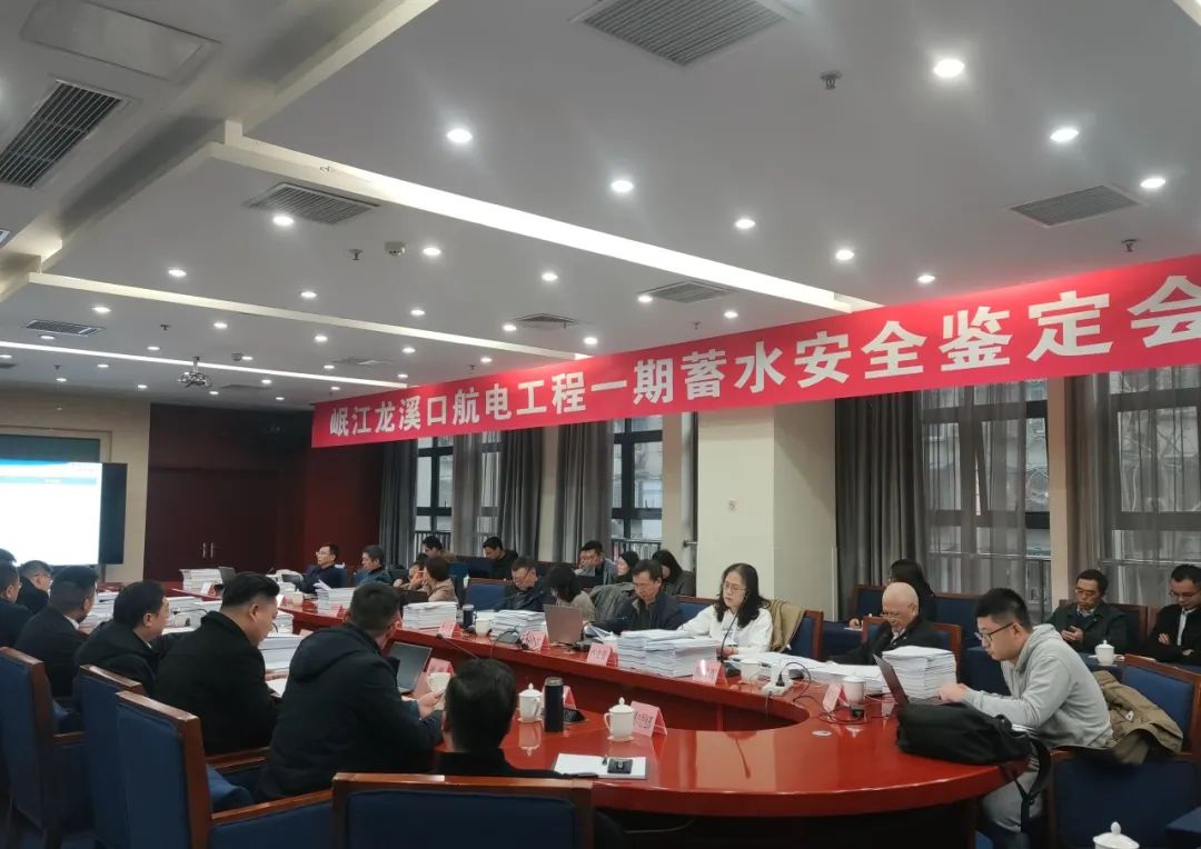 岷江航电工程_岷江航电项目_岷江航电工程业主是谁