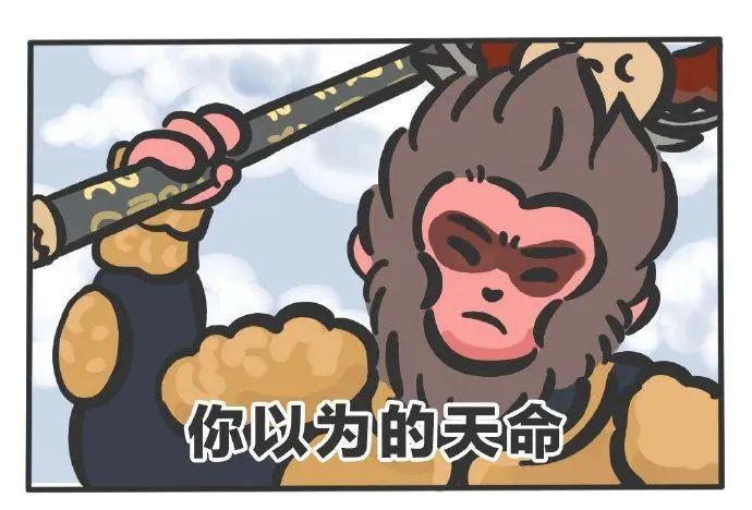 蛋仔派对社交玩法_蛋仔派对游戏下载_社交游戏图标