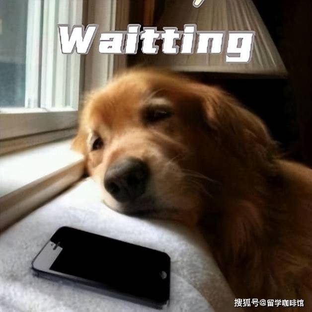 社交app推荐_留学必备app_中国可用的外国社交app
