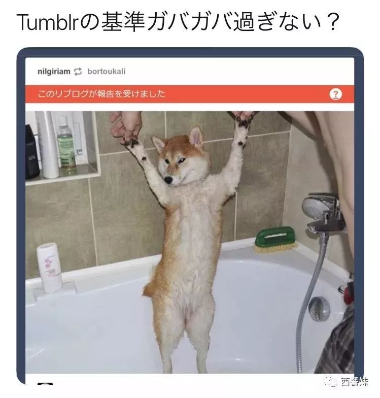 社交网站平台排名_社交网站平台_社交网站平台有哪些