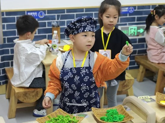 幼儿园区域游戏指导_幼儿园游戏观摩评析_小班游戏专题小结