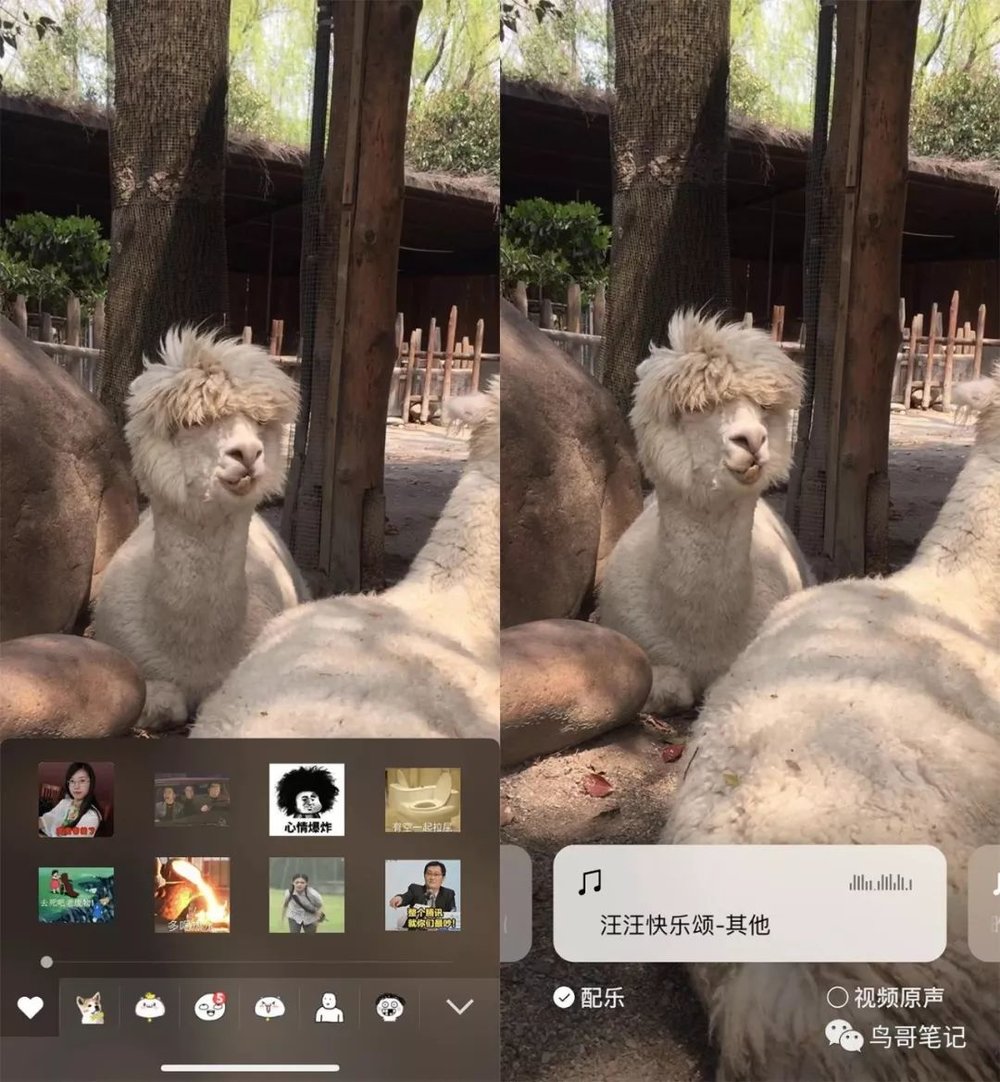 微信 熟人社交_时刻视频社交属性_时刻视频与朋友圈区别