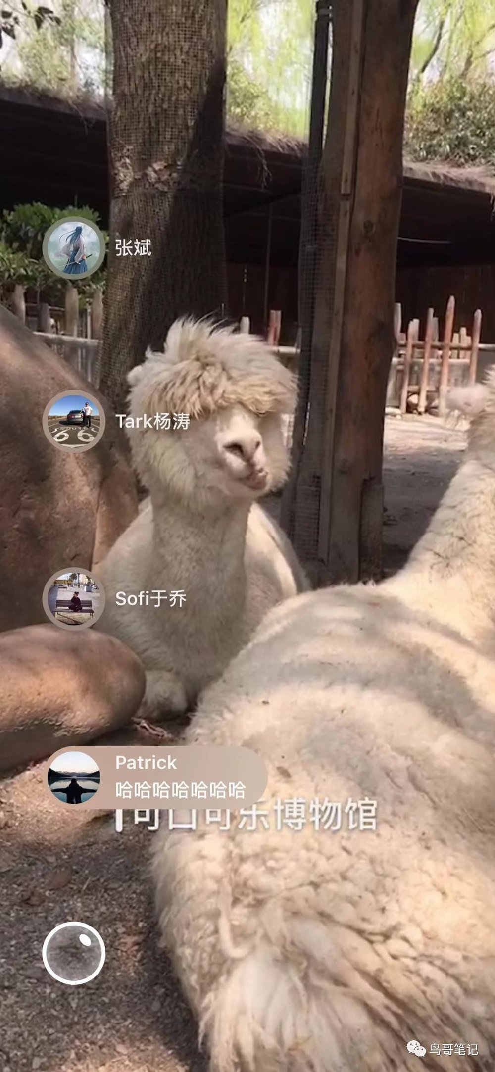 微信 熟人社交_时刻视频社交属性_时刻视频与朋友圈区别