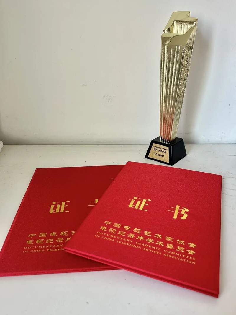最近新闻大事2025_中国新闻奖一等奖 纪录片 京津冀瓣瓣同心
