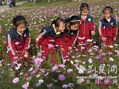 襄阳樊城二幼衡庄分园：五感浸润自然 生态教育伴成长