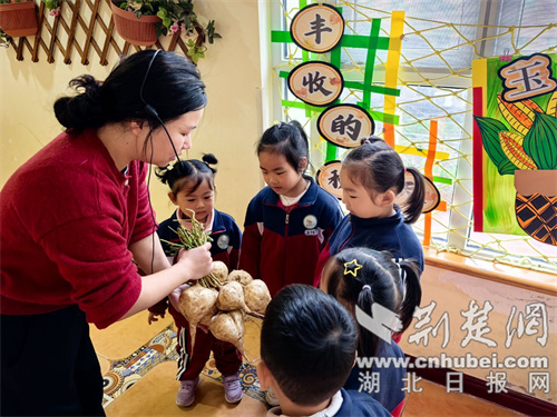 自然教育课程_幼儿园游戏专题总结_生态友好幼儿园