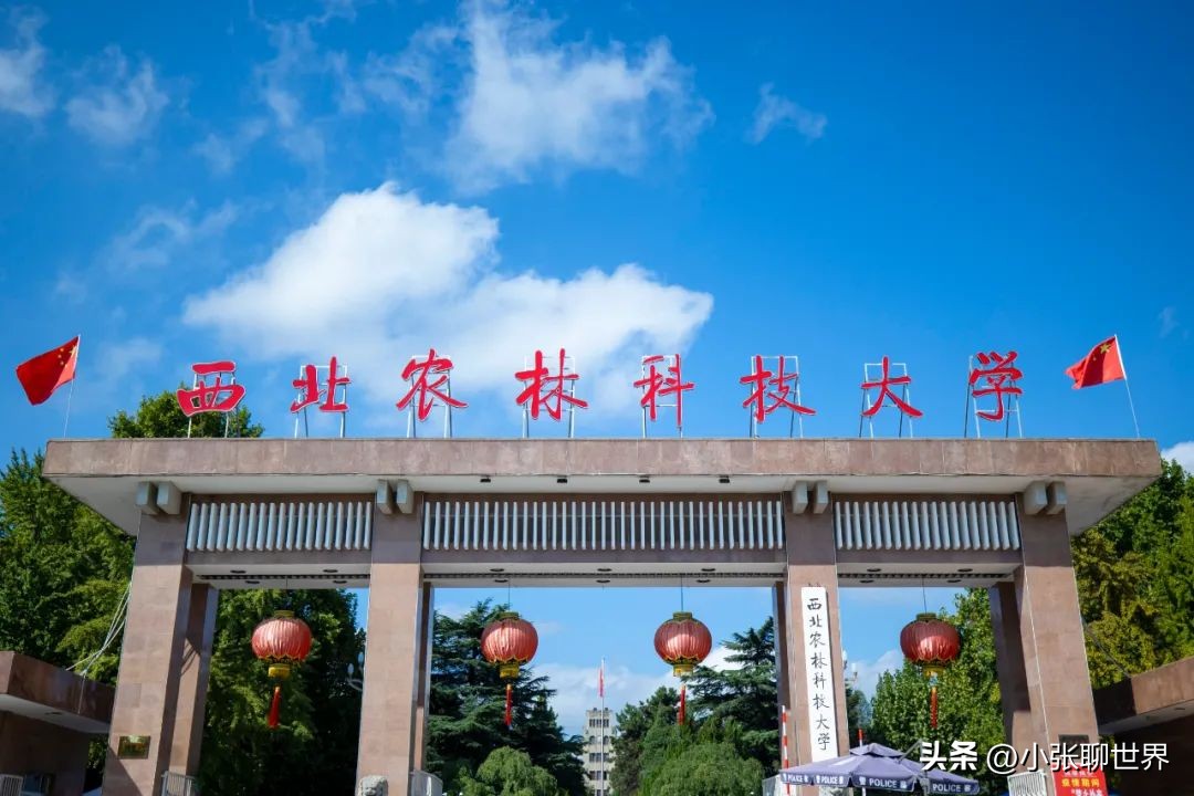 葡萄酒专业 就业前景 院校选择_葡萄酒与社交