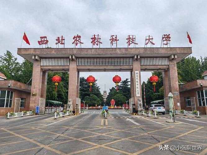 葡萄酒专业 就业前景 院校选择_葡萄酒与社交