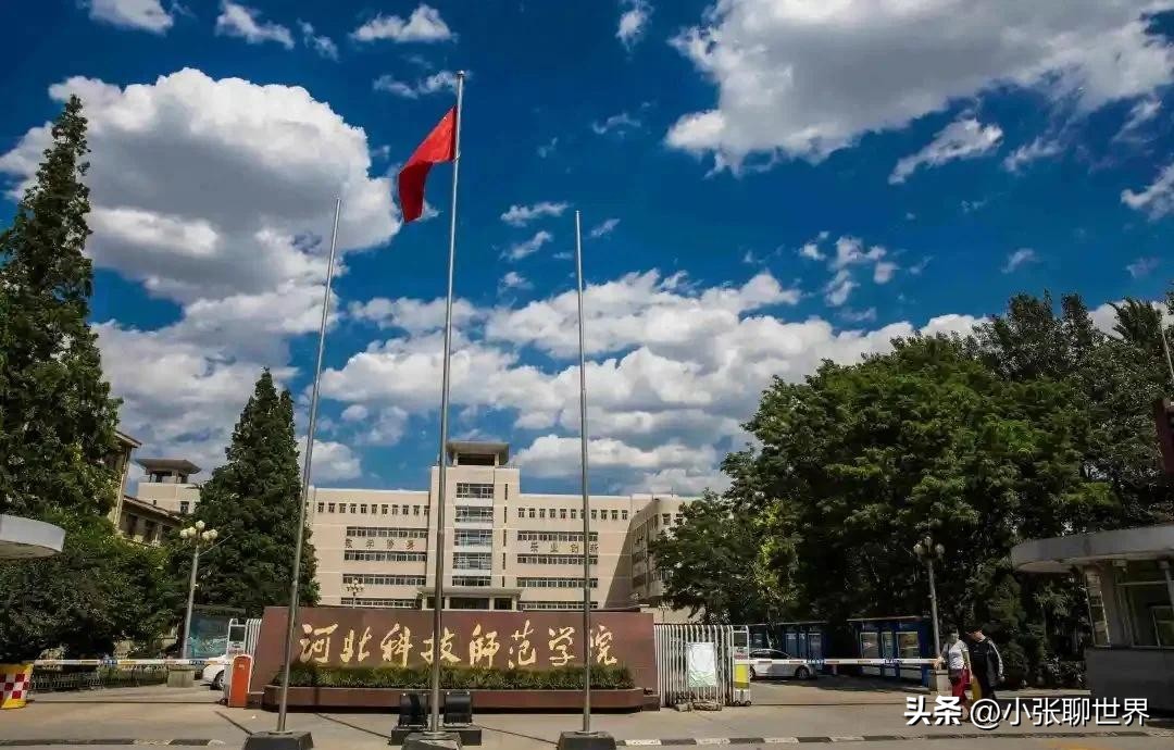 葡萄酒与社交_葡萄酒专业 就业前景 院校选择