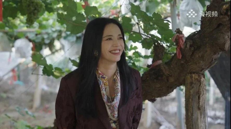 葡萄酒与社交_葡萄酒社交谈话节目 长城葡萄酒 好久不见节目