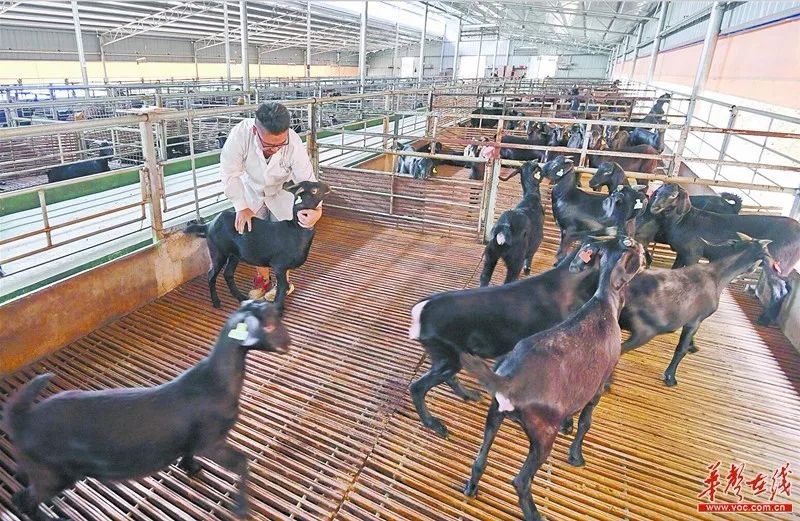 辽宁新闻联播主持人朱彤_辽宁新闻主持人朱彤_新闻辽宁主持人朱彤个人资料