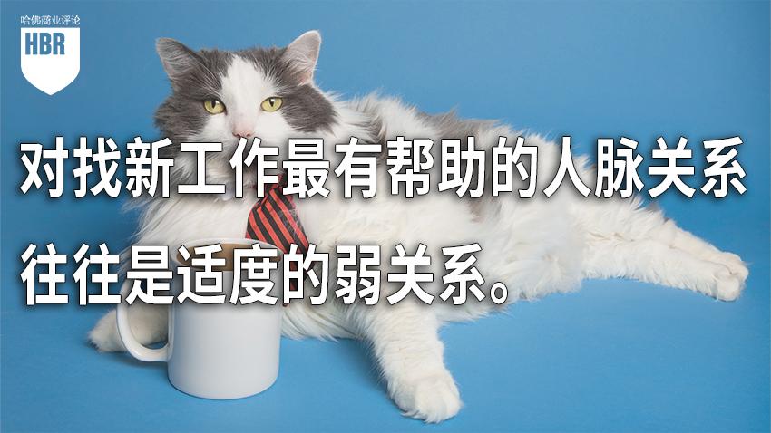 你看不上的弱关系，才是职场中最有用的人脉