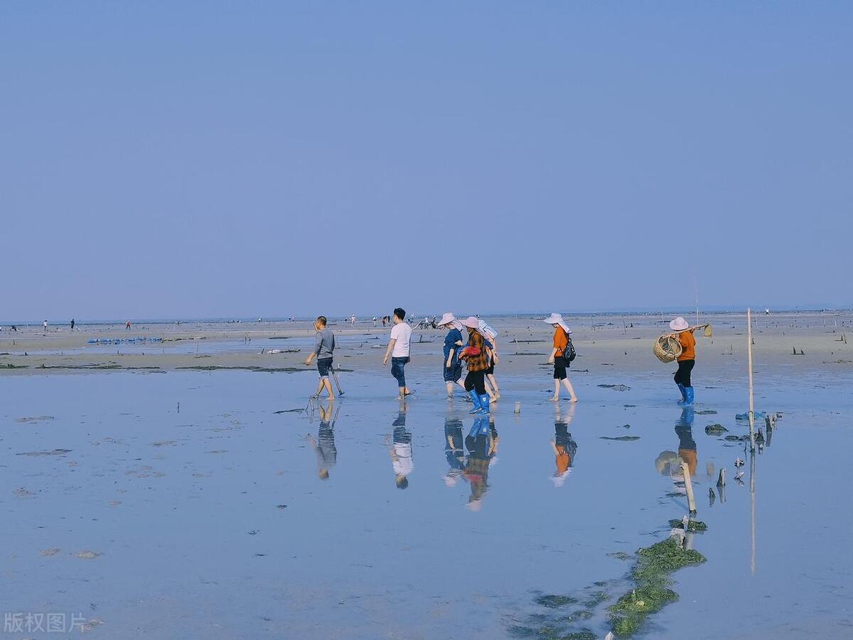 万尾金滩旅游攻略_东兴旅游攻略_东兴近期重大新闻