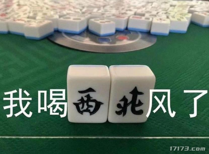 二次元游戏专题_二次元MMO游戏开发趋势_星痕共鸣炸服现象分析
