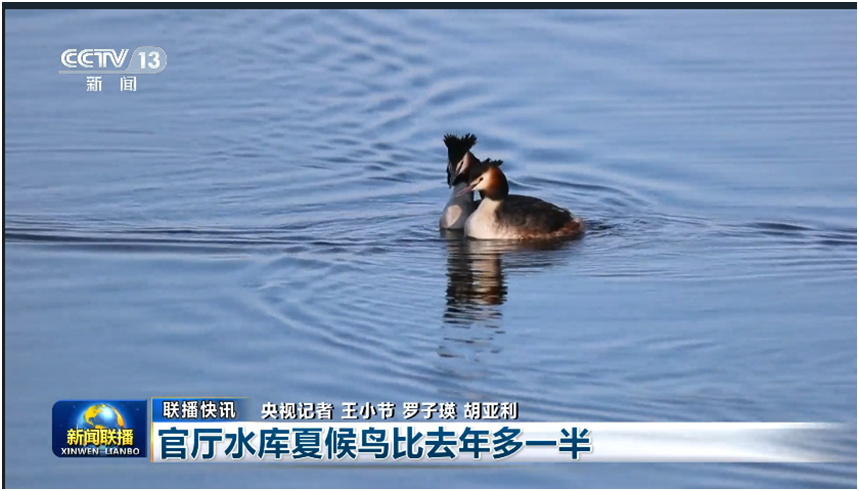 新闻联播高清制播升级_cctv13午夜新闻主持人_中央广播电视总台联播黄金档改版