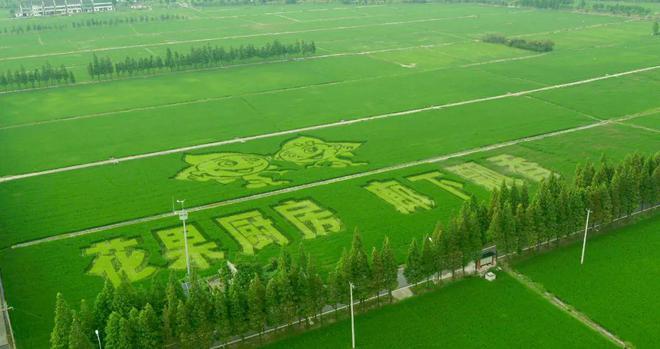 长沙湘拓文化传播有限公司_湘都生态农业园拓展_湖南湘拓人力资源有限公司
