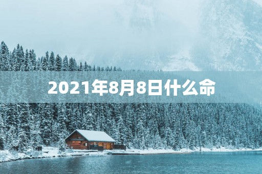 2025年8月8日什么命