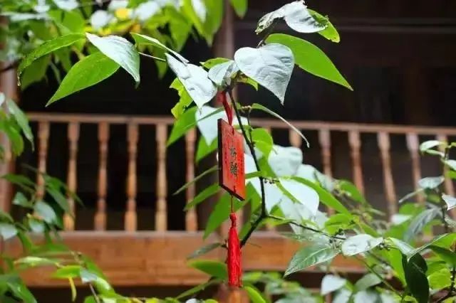 株洲观音岩_耿家寨乡村旅游_观音岩避暑旅游