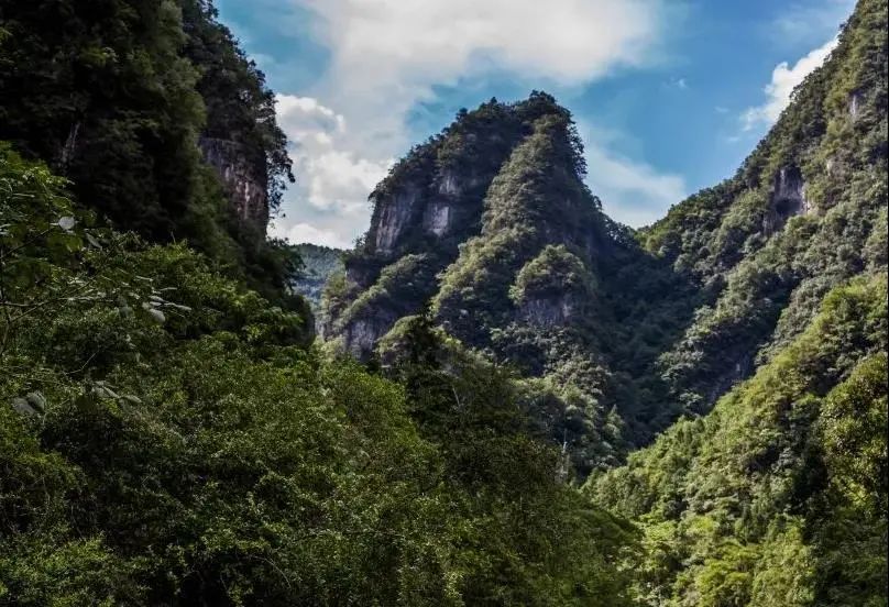株洲观音岩_耿家寨乡村旅游_观音岩避暑旅游