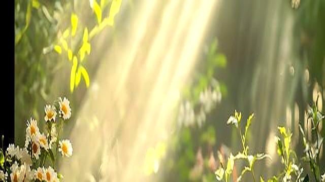 物质做减法_精神做加法_社交软件对生活的影响