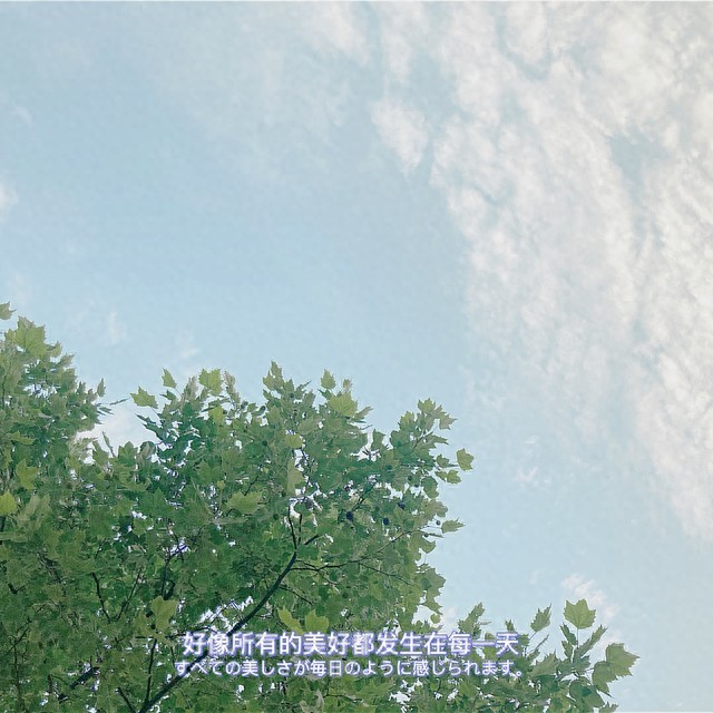 【为何亲情与友情日渐疏远？——探寻现代生活中的隔阂与温情】