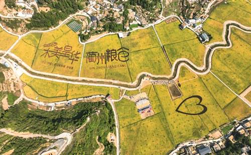 发展乡村特色产业_拓展农业产业链价值链_壮大县域经济