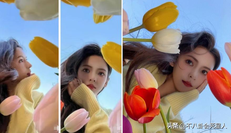 明星硬照背后的秘密_明星拍照的尴尬瞬间_最搞笑的图片能笑死人