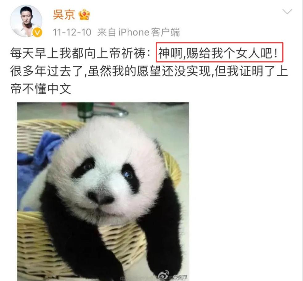吴京打斗的图片大全_吴京 复出之路_吴京 早年经历