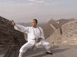 吴京 早年经历_吴京打斗的图片大全_吴京 复出之路