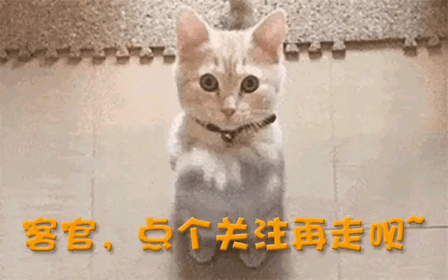 吴京战狼表情包_吴京采访逆天言论_吴京的图片大全
