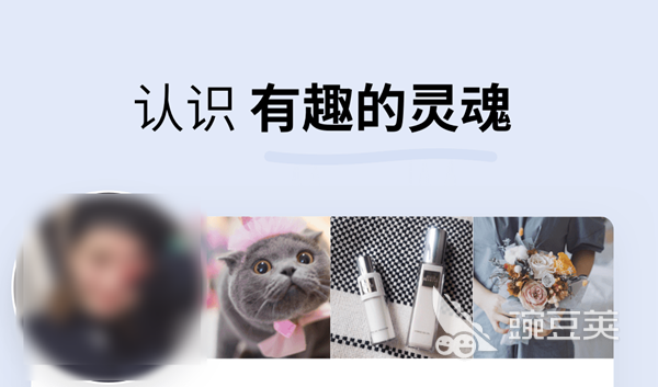 一对一聊天软件_社交聊天工具推荐_社交网聊天技巧