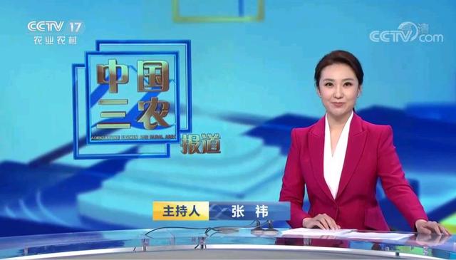 CCTV主持人大赛选手名单_地方电视台主持人进入CCTV_cctv13主持人名单男