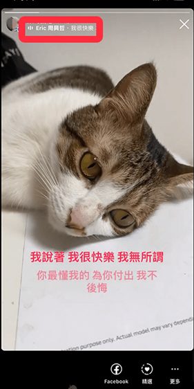 ins正版安卓版