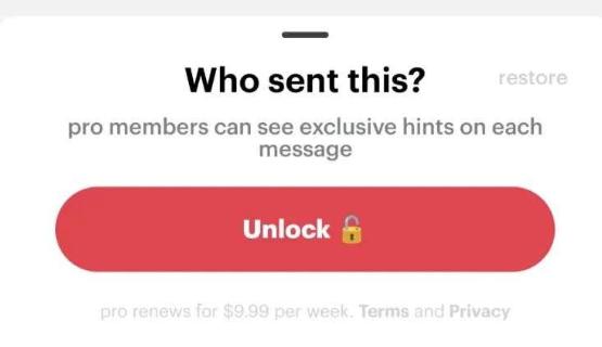 匿名社交app_NGL匿名社交软件用户付费查看提问者_NGL匿名提问支付解锁功能