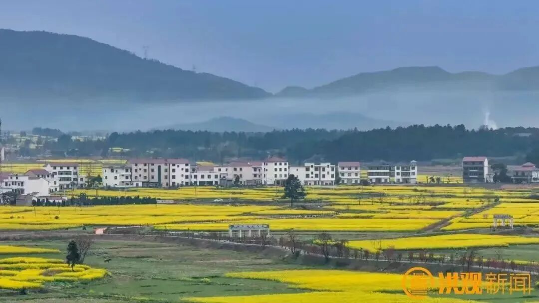 南昌市生态环境保护工作新闻发布会_南昌市十四五生态环境保护_南昌市园林绿化局