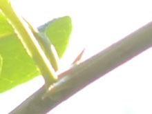 尼康D5100搭35mmF1.4样张