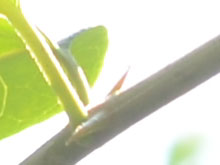 尼康D5100搭35mmF1.4样张