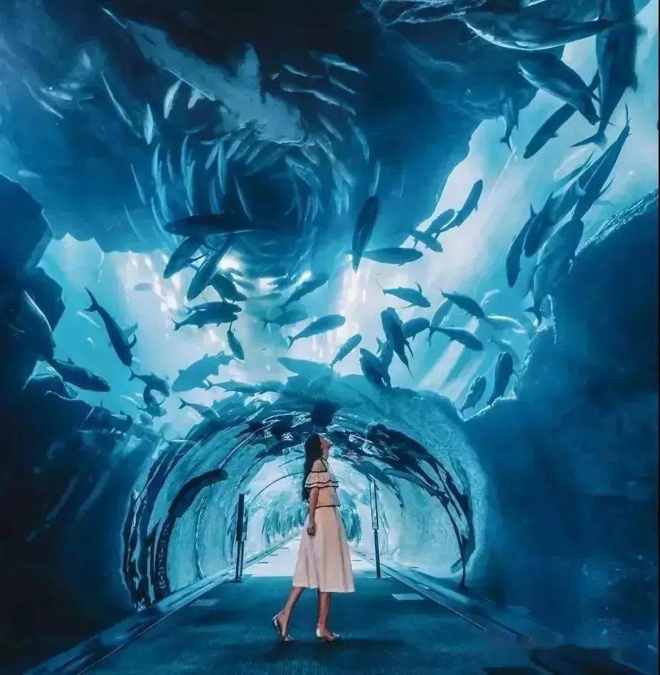 购物中心社交化_第三生活空间_场景式社交