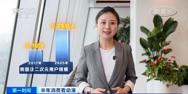 小红书2.5次元用户生态分析_小红书二次元社区发展_二次元游戏专题