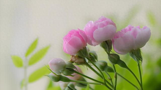 山间里倾听溪流声