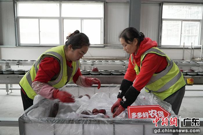 2024年第1500亿件包裹在拼多多诞生