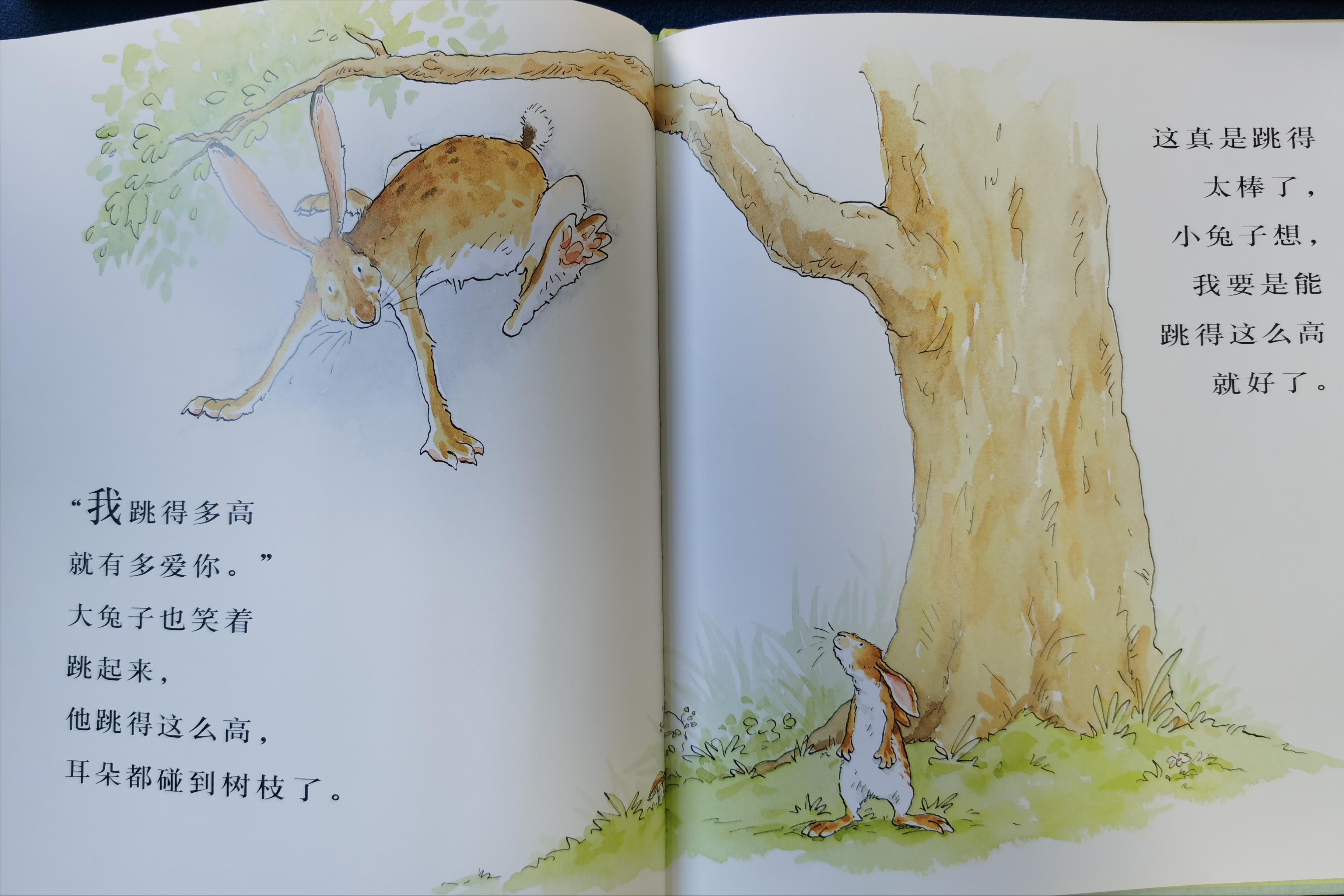 绘本猜猜我有多爱你_儿童情商社交游戏绘本_亲子阅读