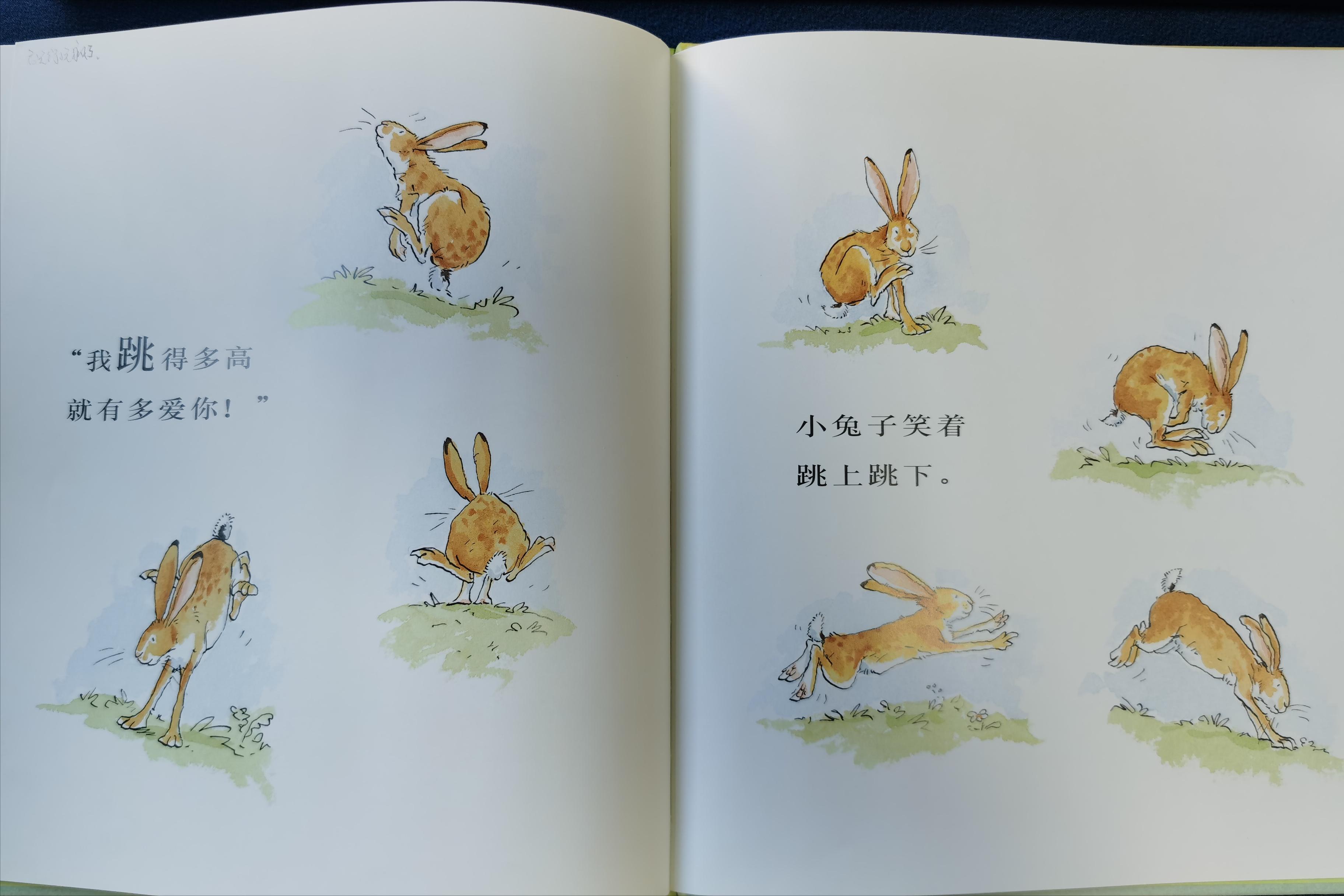 儿童情商社交游戏绘本_绘本猜猜我有多爱你_亲子阅读