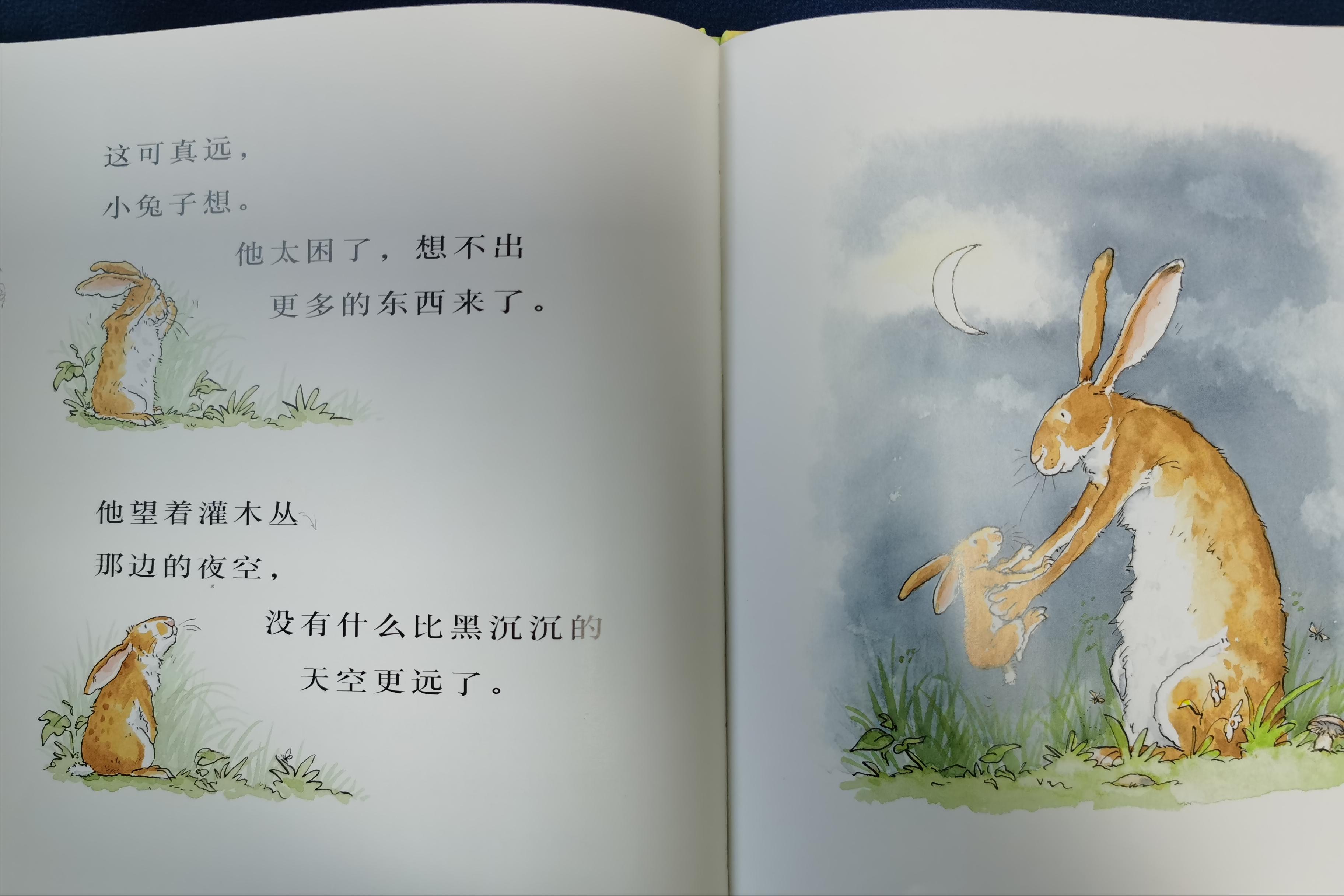 亲子阅读_儿童情商社交游戏绘本_绘本猜猜我有多爱你