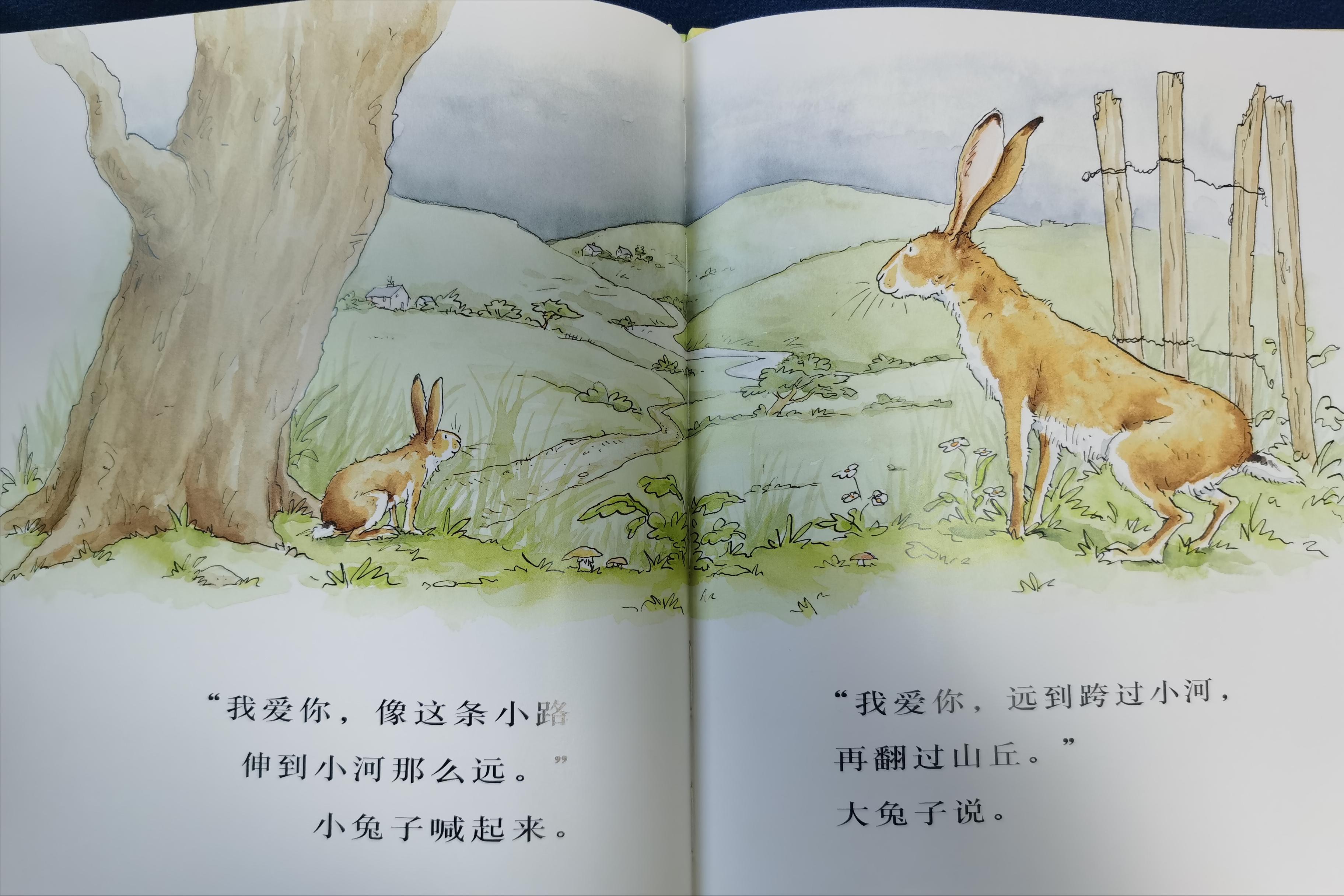 亲子阅读_绘本猜猜我有多爱你_儿童情商社交游戏绘本