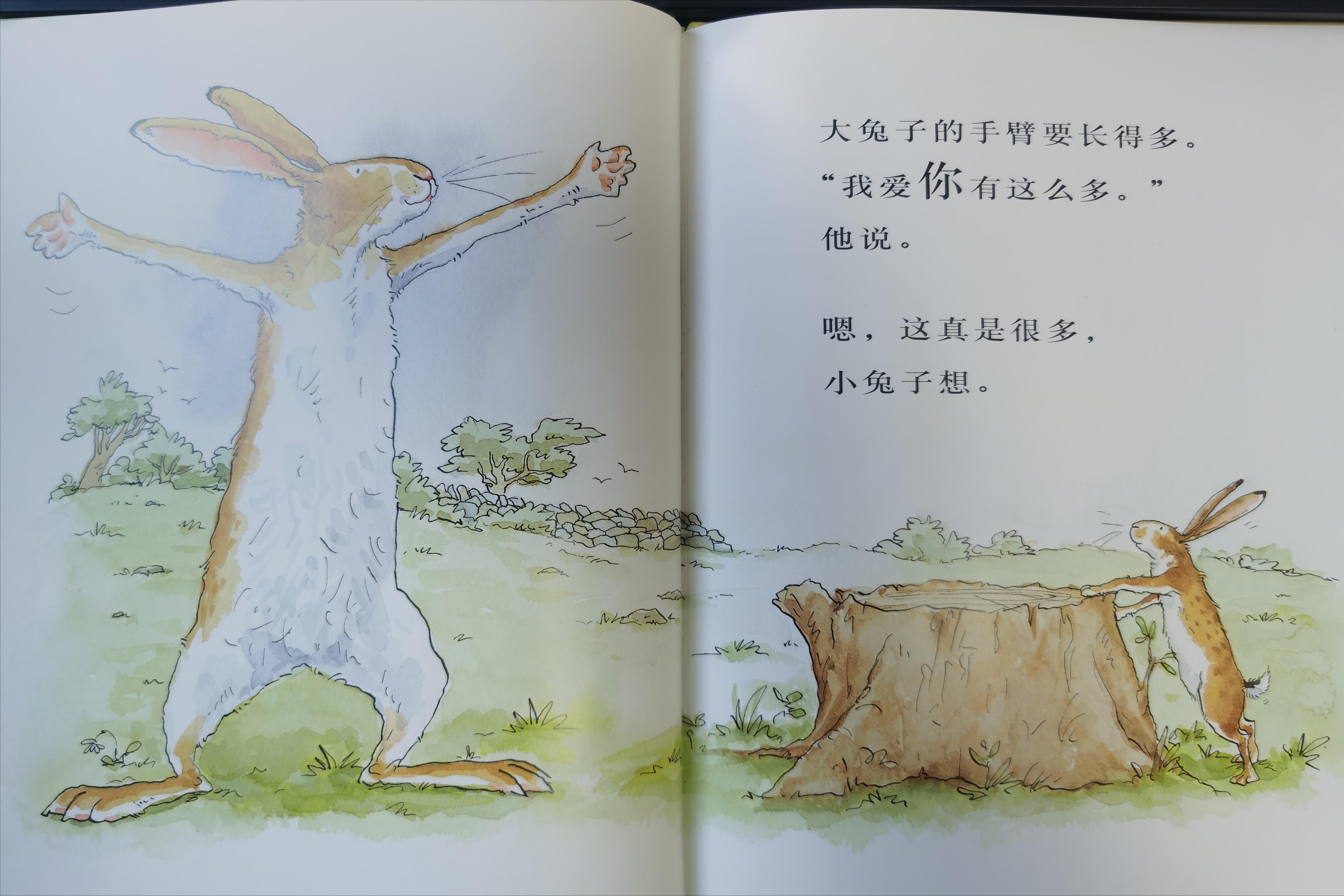 绘本猜猜我有多爱你_儿童情商社交游戏绘本_亲子阅读